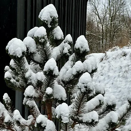 Black Deer - Z Sauna Na Tarasie, Jacuzzi I Widokiem Na Gory - By Deer Hills Luxury Appartement *