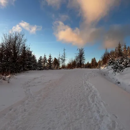 Black Deer - Z Sauna Na Tarasie, Jacuzzi I Widokiem Na Gory - By Deer Hills Luxury Appartement