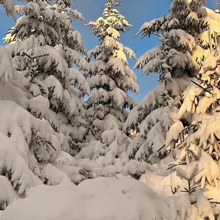 Appartement Black Deer - Z Sauna Na Tarasie, Jacuzzi I Widokiem Na Gory - By Deer Hills Luxury *