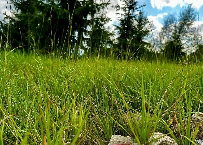 דירה Black Deer - Z Sauna Na Tarasie, Jacuzzi I Widokiem Na Gory - By Deer Hills Luxury