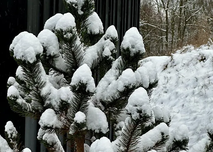 Black Deer - Z Sauna Na Tarasie, Jacuzzi I Widokiem Na Gory - By Deer Hills Luxury דירה *