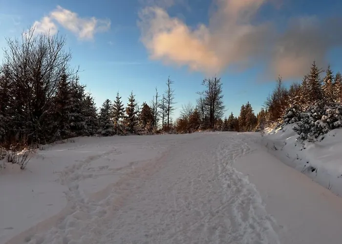 Black Deer - Z Sauna Na Tarasie, Jacuzzi I Widokiem Na Gory - By Deer Hills Luxury דירה