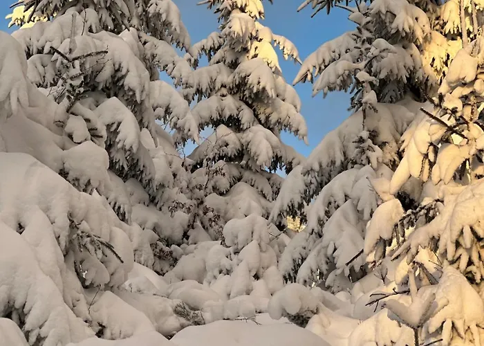 דירה Black Deer - Z Sauna Na Tarasie, Jacuzzi I Widokiem Na Gory - By Deer Hills Luxury *